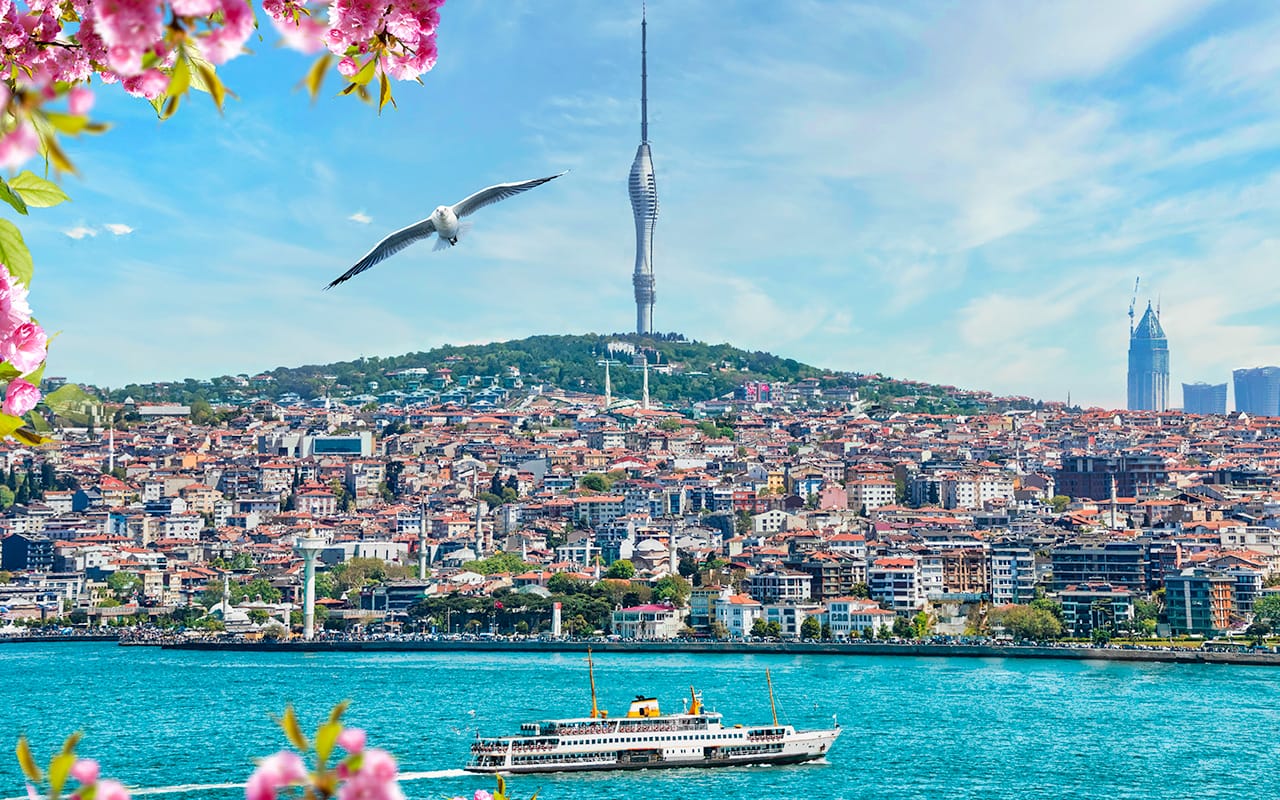 Cihangir Roma Parkı: İstanbul'un Gizli Manzara Noktası 🌇🌳📸
