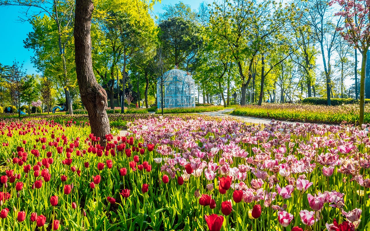 Emirgan Korusu: İstanbul'un Saklı Cenneti Buraya Gitmeliyiz!