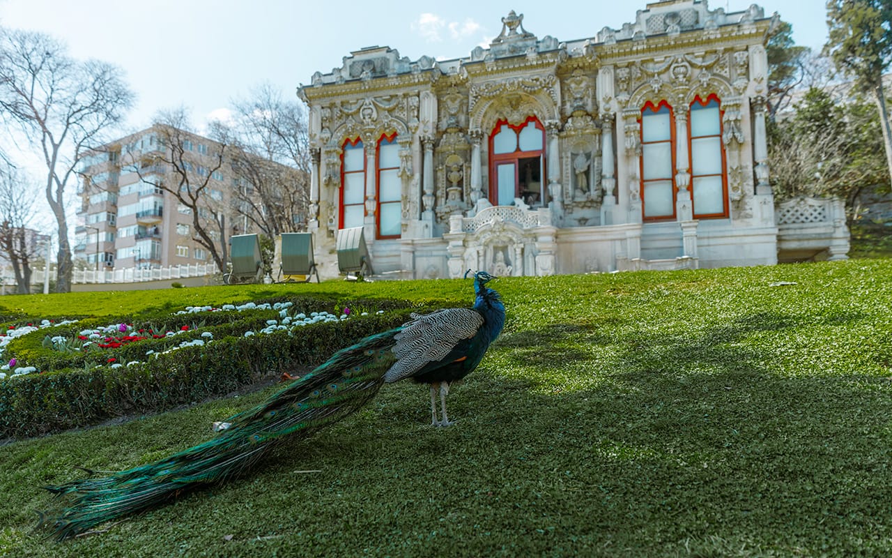 Ihlamur Kasrı