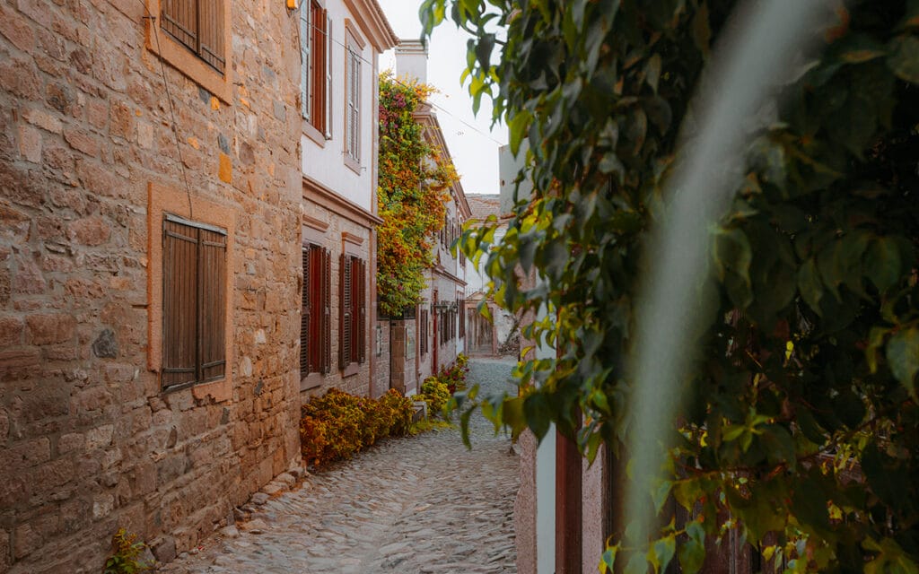 cunda-1